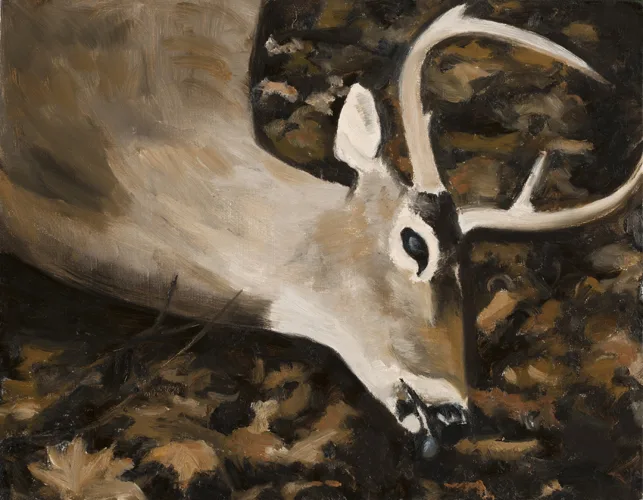 William Lewis Slain Deer, 2015 oil on canvas 11 x 14 in
