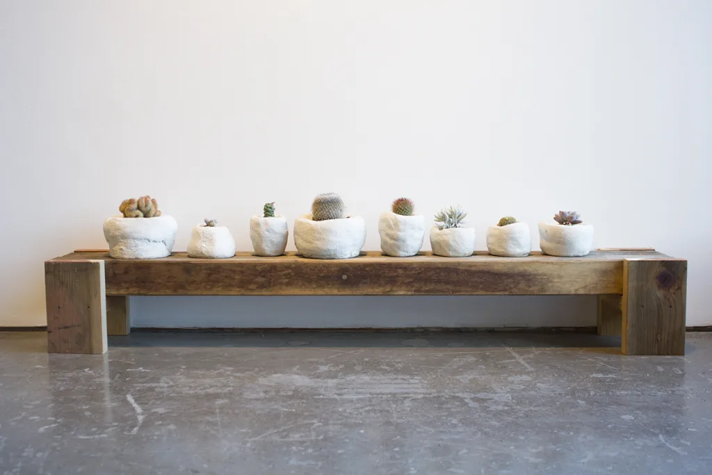 JOHN ZAPAS Johnpots, 2017 Gypsum cement, sand, and plants. dimensions variable