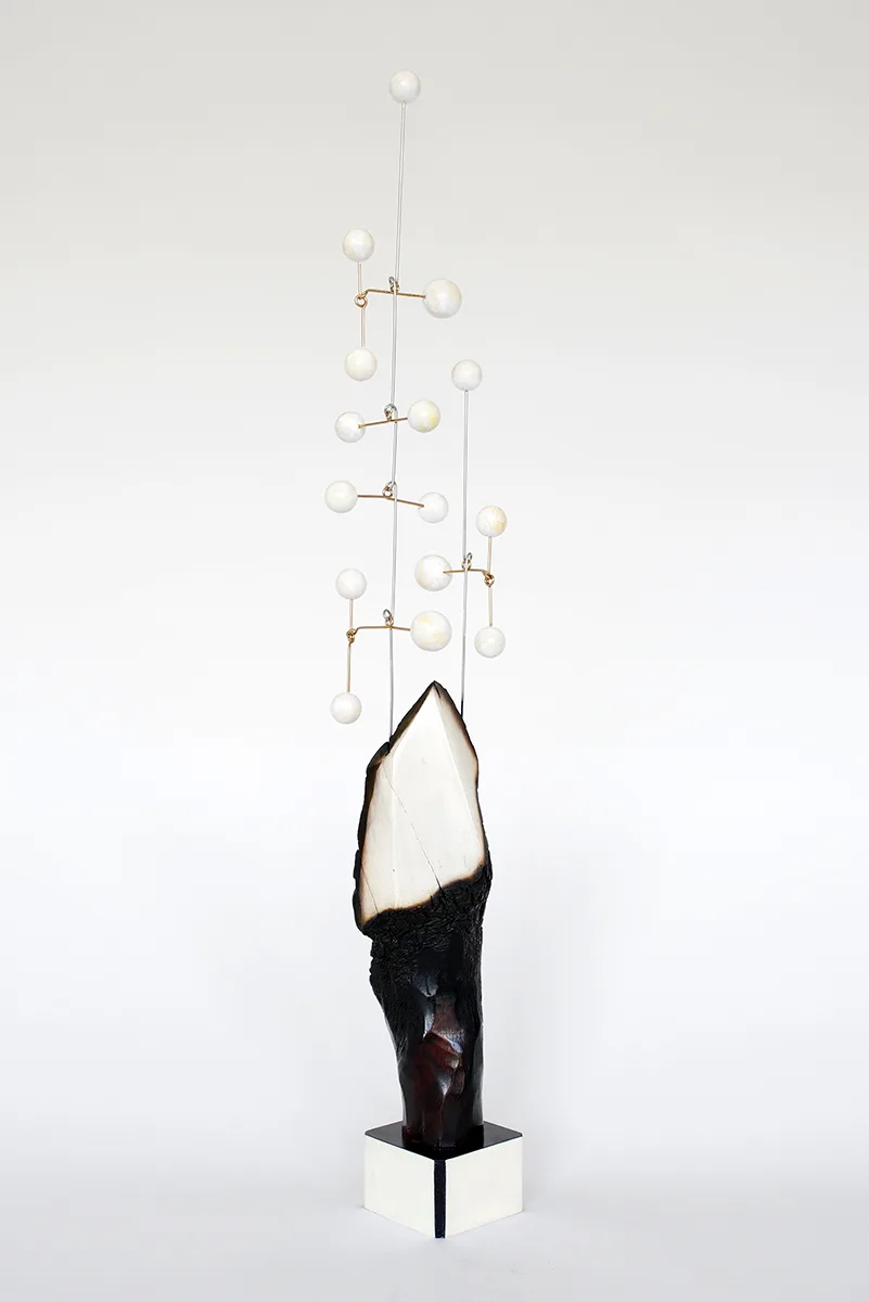 Woolsey 5 by Karolina Maszkiewicz, Malibu fire burned wood, stainless steel, wood veneer, 27 x 4 x 4 inches