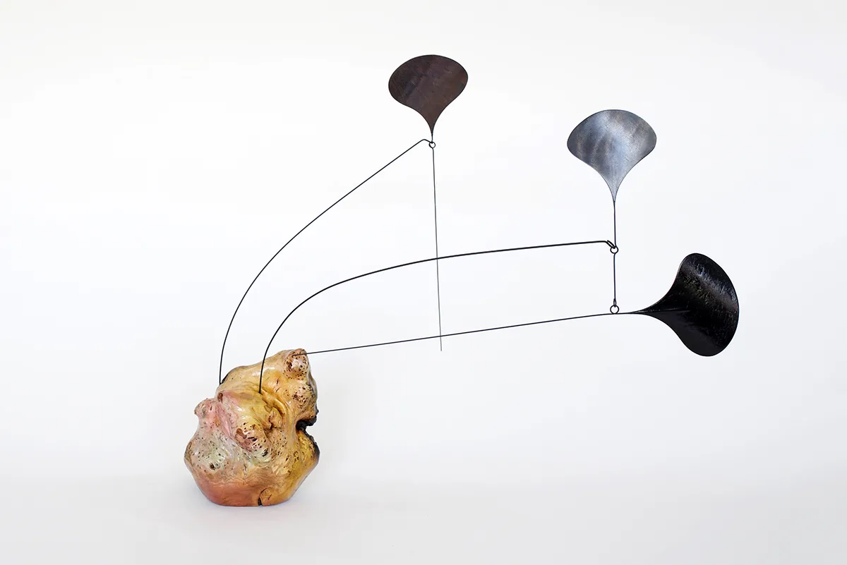 Woolsey 6 by Karolina Maszkiewicz, Malibu fire burned wood, stainless steel, wood veneer, 18 x 21 x 18 inches