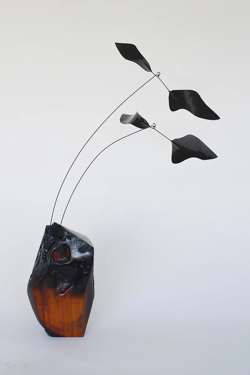 Woolsey 8 by Karolina Maszkiewicz, Malibu fire burned wood, stainless steel, wood veneer, 31 x 23 x 22 inches