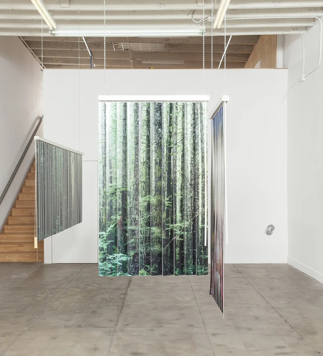 A wide and view of a dense forest in British Columbia/ Fresh raw meat 1 by Tanya Brodsky, Salvaged vertical blinds, vinyl, stock photographs, 27 x 45 x 3 ½ inches