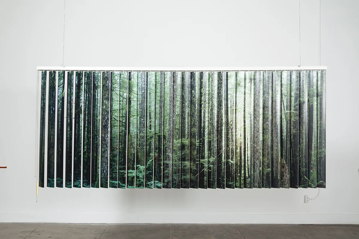 A wide and view of a dense forest in British Columbia/ Carne mista assortita by Tanya Brodsky, Salvaged vertical blinds, vinyl, stock photographs, 101 x 42 x 3 ½ inches