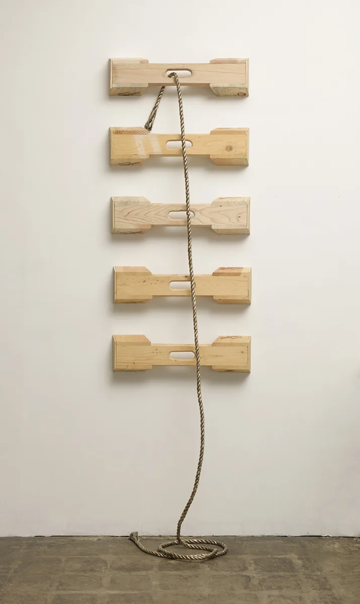 Rope, Ladder by Claudia Parducci, Cast bronze, wood, 99.5 x 29 x 15 inches