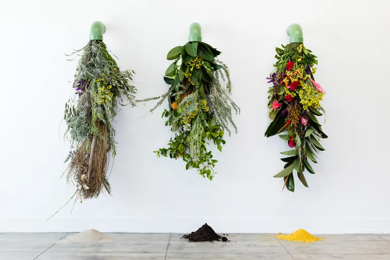 Installation image of Karolina Maszkiewicz Polleo Alluve at Ochi Projects, Los Angeles