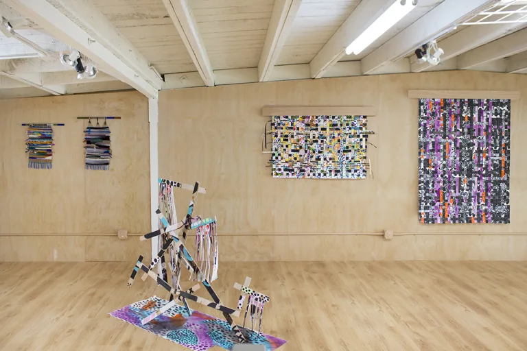 Installation image of Lindsay Preston Zappas Wanting Hide, Armed Mark at Ochi Projects, Los Angeles, 2017