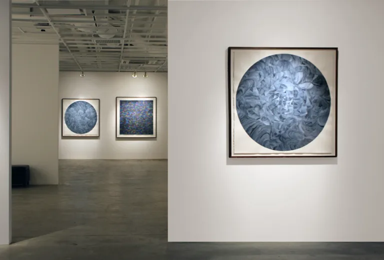 Installation image of Brittany Sanders Wonder Series at Ochi Gallery, Ketchum, Idaho 2011