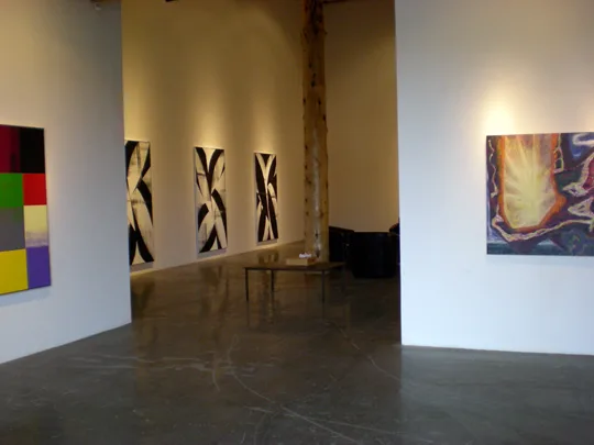 Installation image of Amenoff Arnoldi, 2009