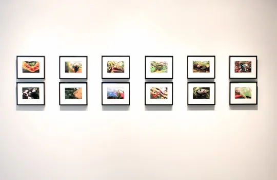 Installation image of Scientific Visions at Ochi Gallery, Ketchum ID