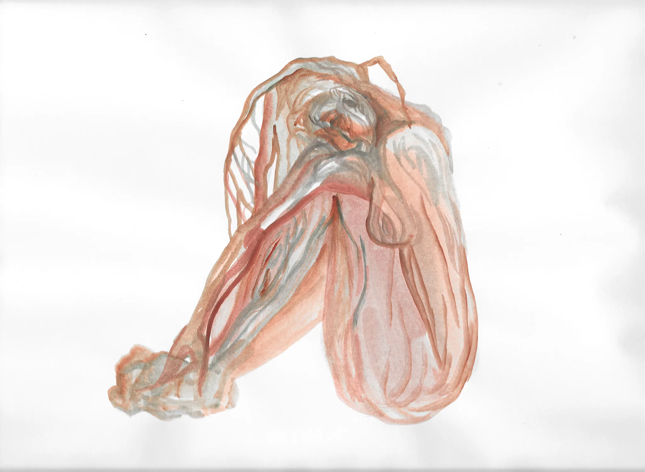 Fibrous Thoughts, 2017 by Young Joo Lee, Watercolor on paper 9 x 12 inches