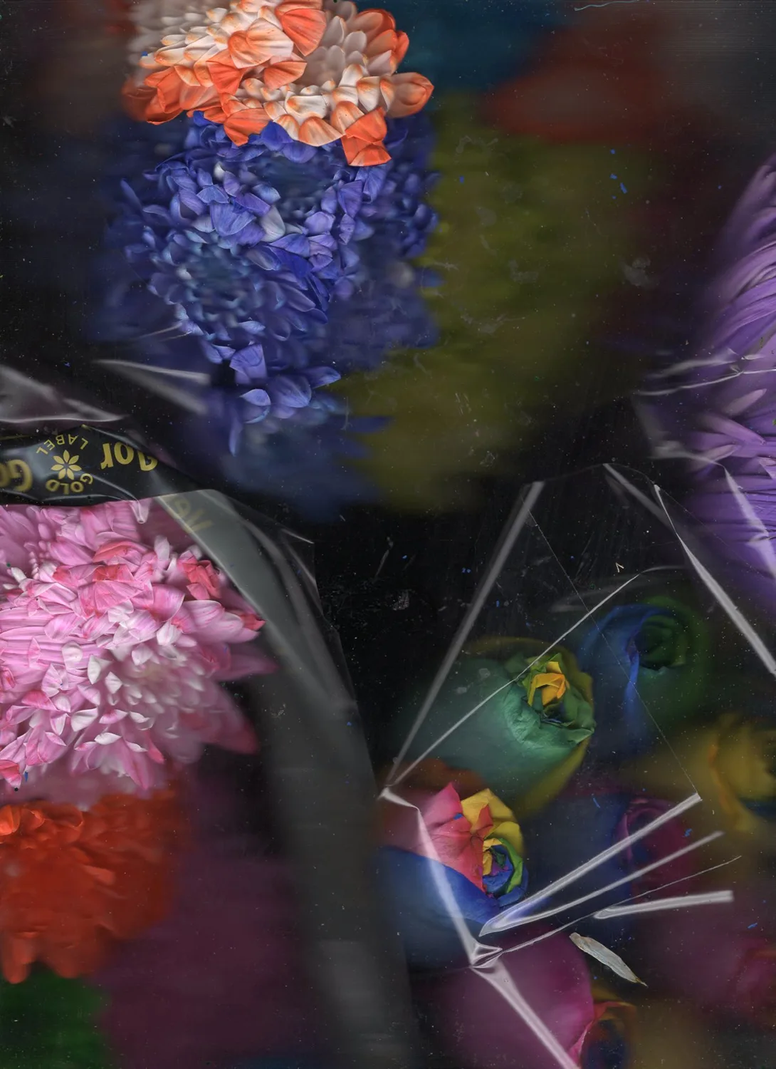 Quick and endless 730, 2018 by Megan Mueller, Scan printed on archival silver halide paper 39 x 28 inches Edition 1 of 3