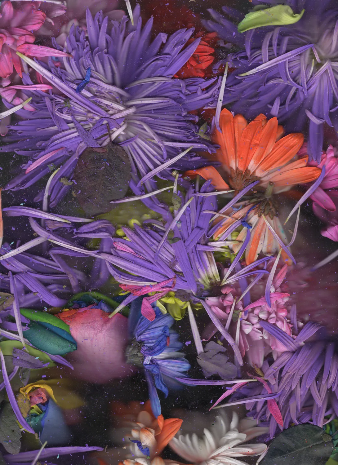 Quick and endless 748, 2018 by Megan Mueller, Scan printed on archival silver halide paper 39 x 28 inches Edition 1 of 3