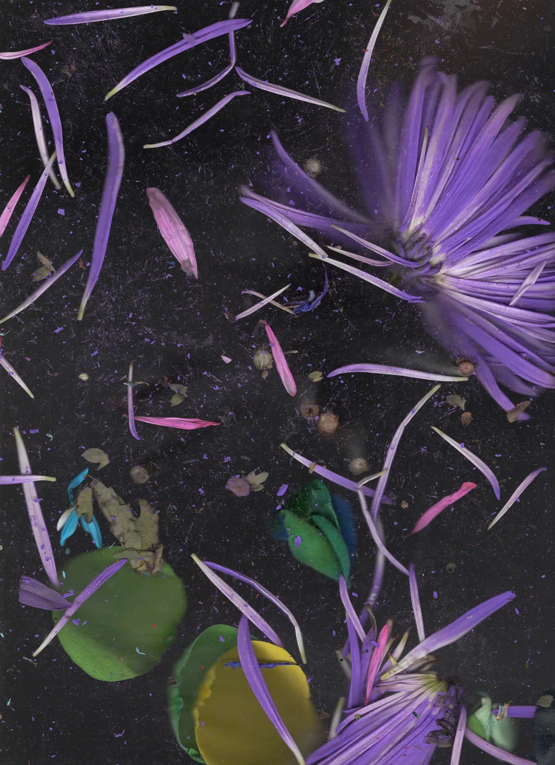 Quick and endless 754, 2018 by Megan Mueller, Scan printed on archival silver halide paper 39 x 28 inches Edition 1 of 3