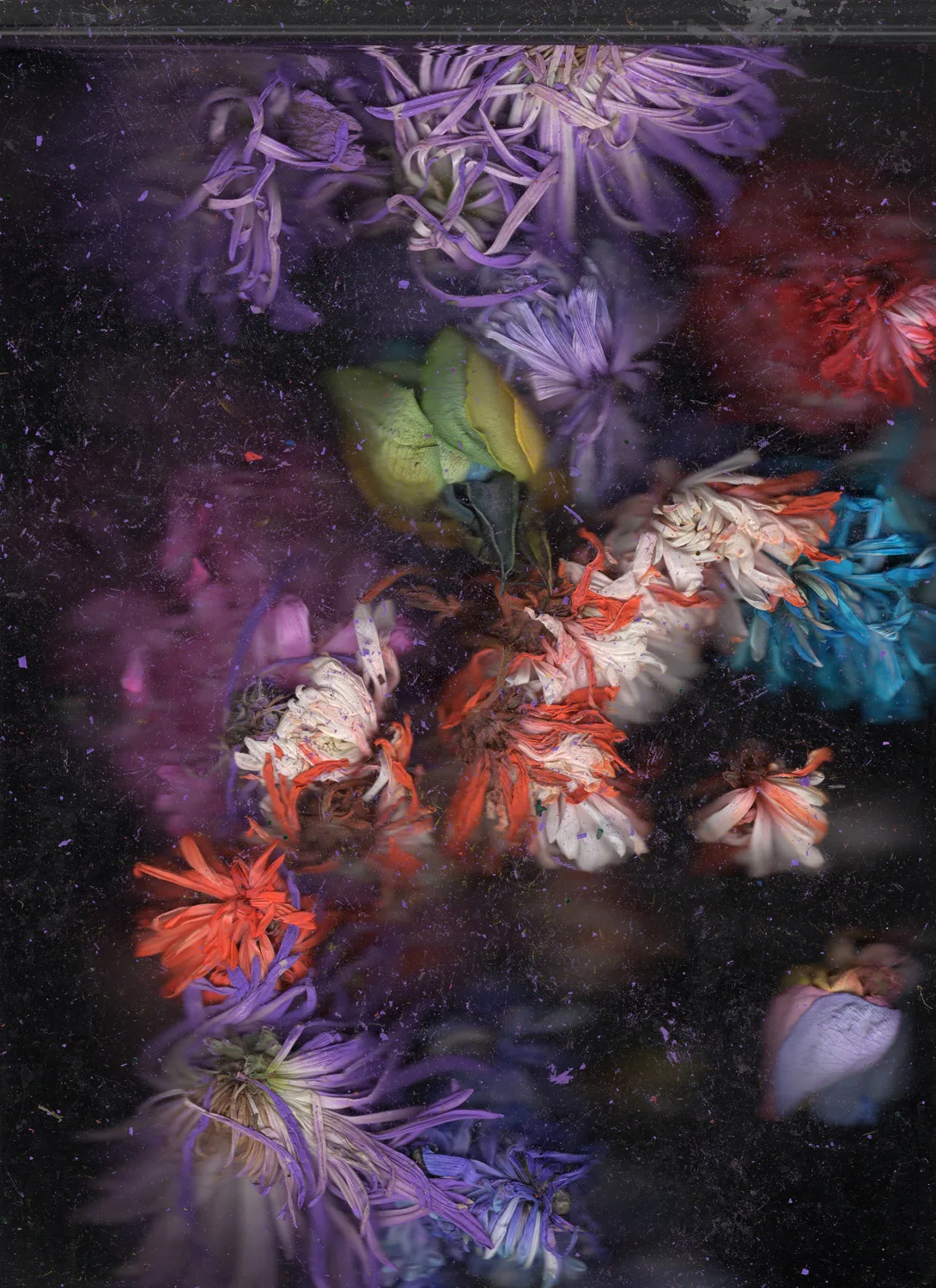 Quick and endless 777, 2018 by Megan Mueller, Scan printed on archival silver halide paper 39 x 28 inches Edition 1 of 3