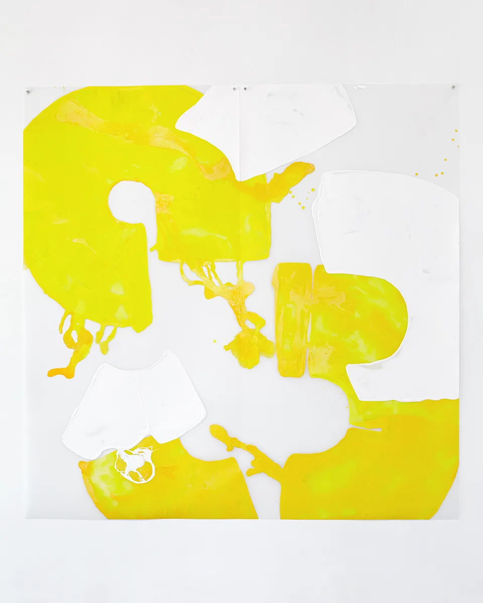 Nellie King Solomon Thanks for the mammaries, 2015 acrylic on mylar 84 x 84 inches