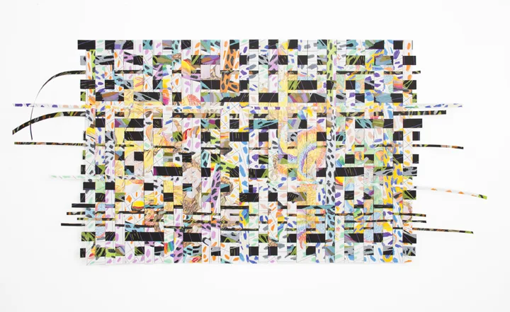 Lindsay Preston Zappas Paper Weave (Animal Costumes), 2016 Colored pencil on cut paper 55.5 x 30 inches