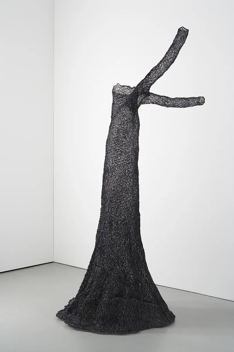 Untitled by Katy Schimert, wire, 102 1/2 x 42 x 42 inches