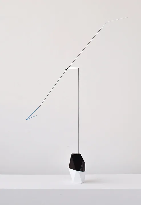 Karolina Maszkiewicz Bunting, 2016 Wood, veneer, stainless steel, paint, lacquer 26 x 20 x 6 inches (variable)