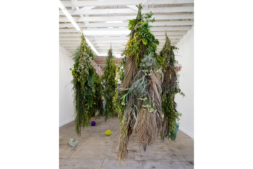 Installation image of Karolina Maszkiewicz Polleo Alluve at Ochi Projects, Los Angeles