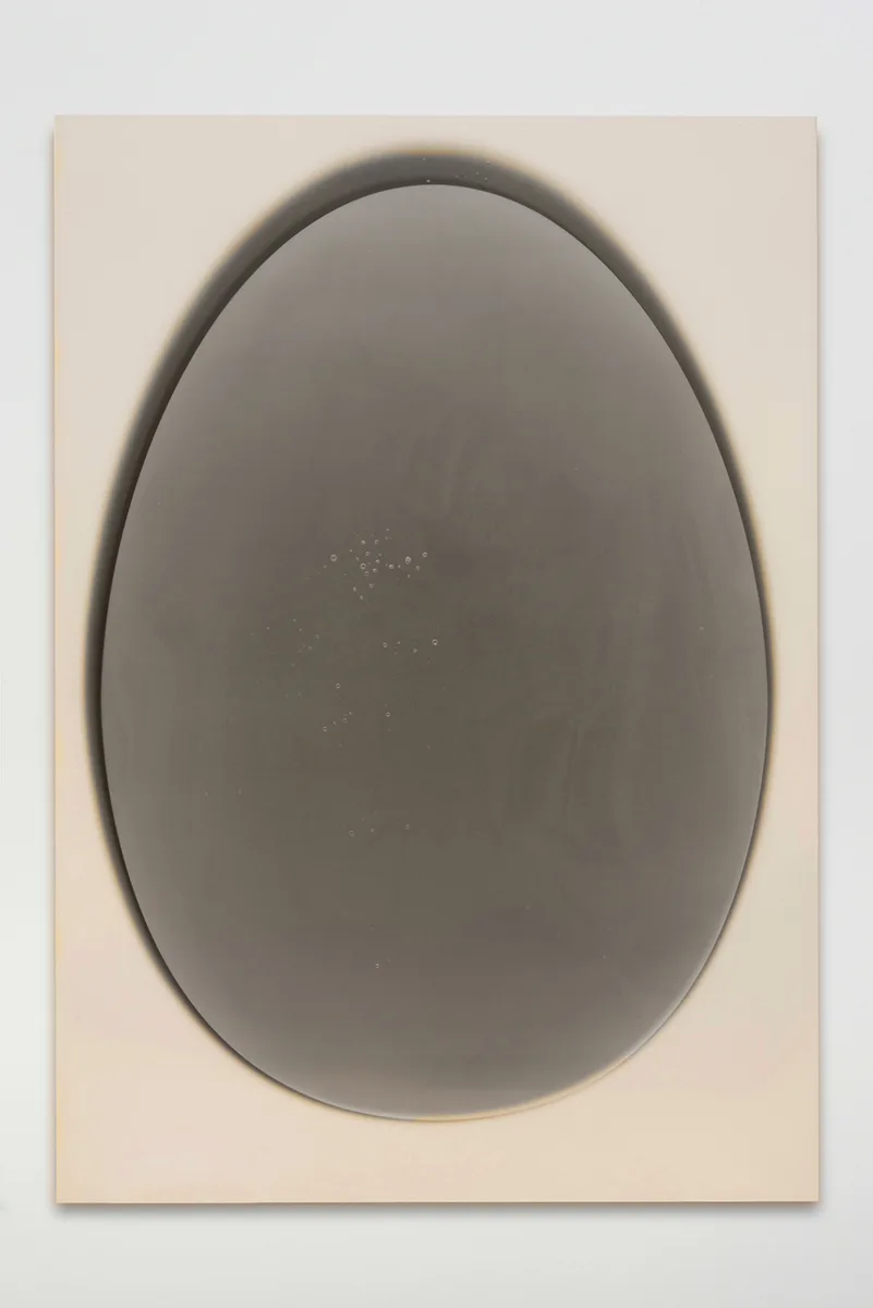 Fabian Marti Deep Egg (transcendental turn), 2016 Epoxy, silver gelatin print (photogram), mounted on aluminum 81 x 56 inches
