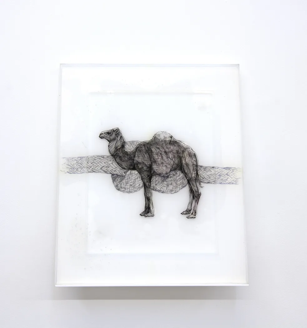 Camel, 2018 by Camille Schefter, Platinum silicone and tattoo ink 24 x 20 x 4 inches