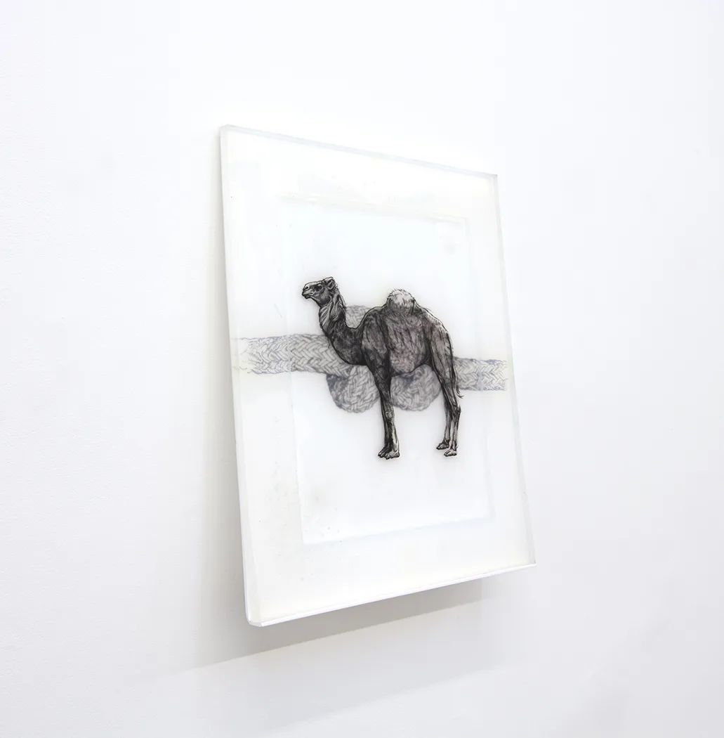 Camel, 2018 by Camille Schefter, Platinum silicone and tattoo ink 24 x 20 x 4 inches