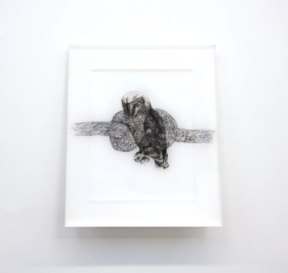 Owl, 2018 by Camille Schefter, Platinum silicone and tattoo ink 24 x 20 x 4 inches