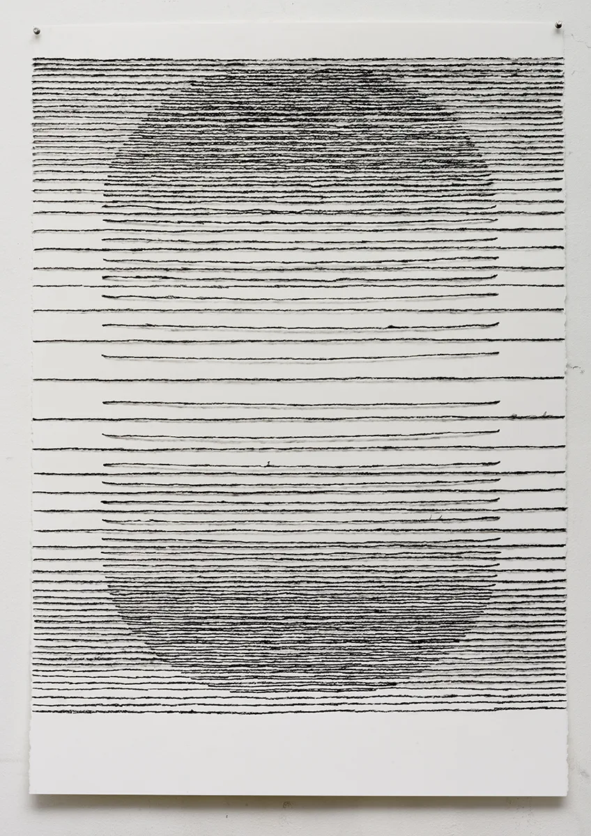 Pill-Shaped Column in Section by Claudia Parducci, Graphite, charcoal on paper, 44 x 30 inches