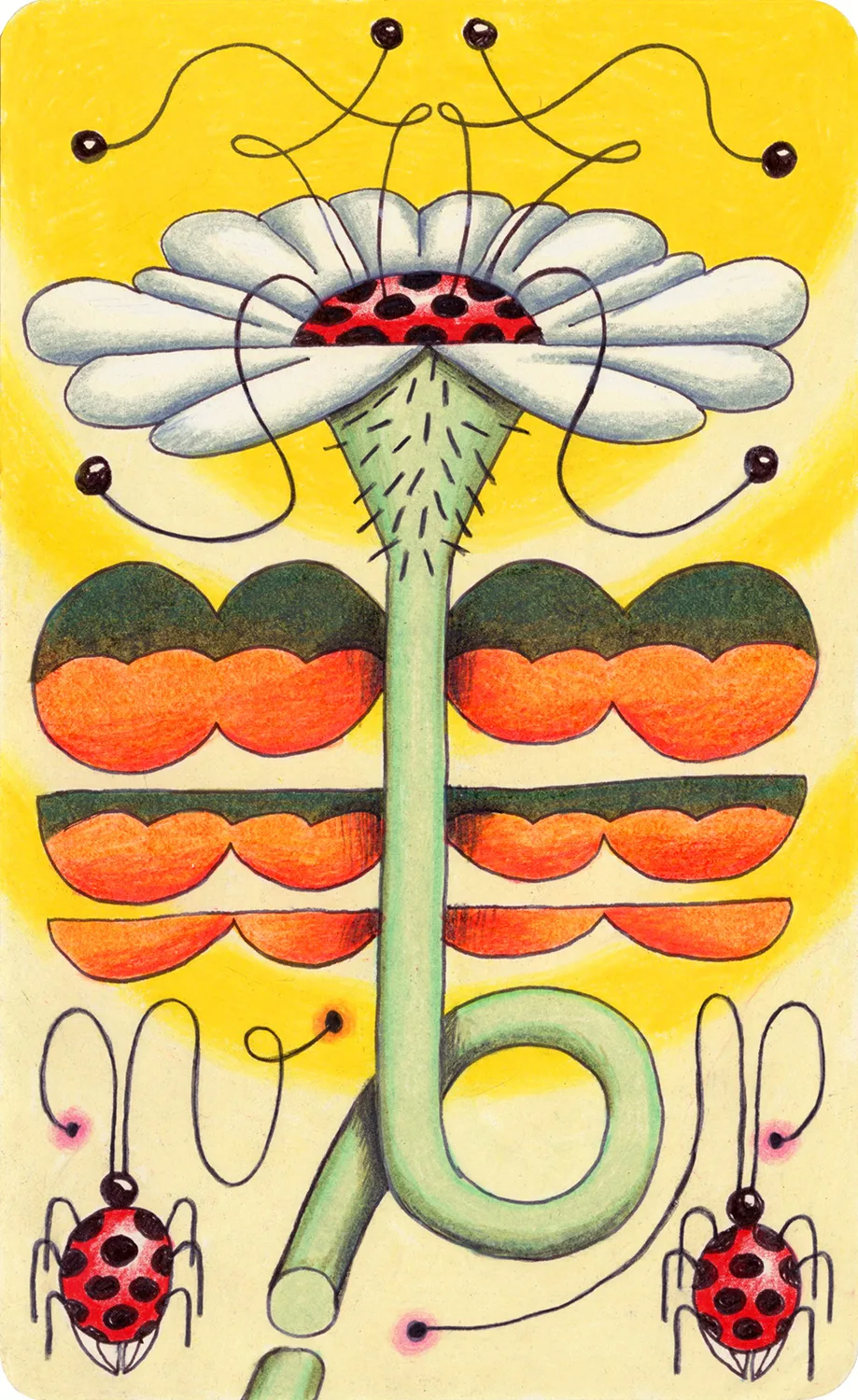 Ladybug Flower, 2017 by Ben Sanders, Ink and colored pencil on paper 8.25 x 5 inches 10 x 7 inches framed