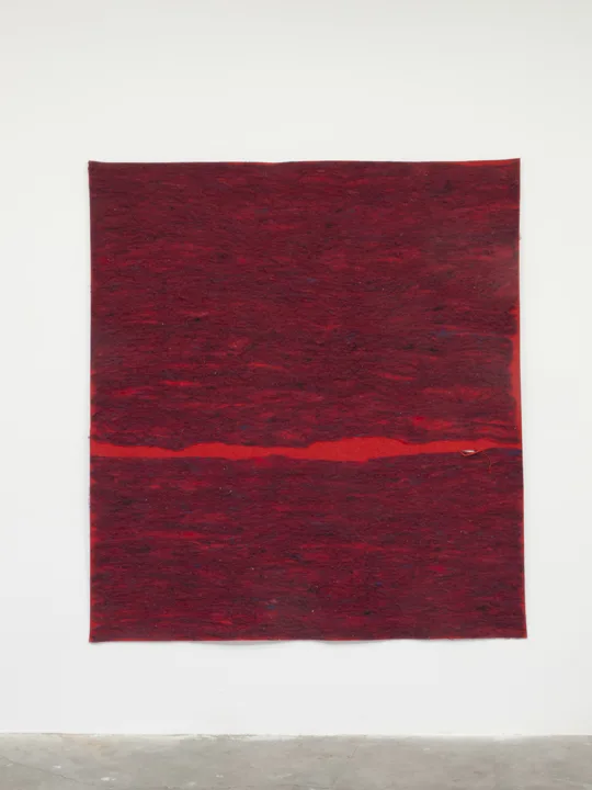 Ariel Herwitz A crack, a river, a chasm, a sliver, 2015 Wool, felt, cotton floss 75 x 68 x 1 inches