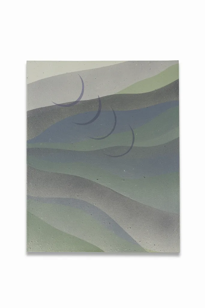 An abstract landscapes that has blue curved lines and also the surface were infuses with natural materials creating subtle, low relief textures underlaying thin veils of paint
