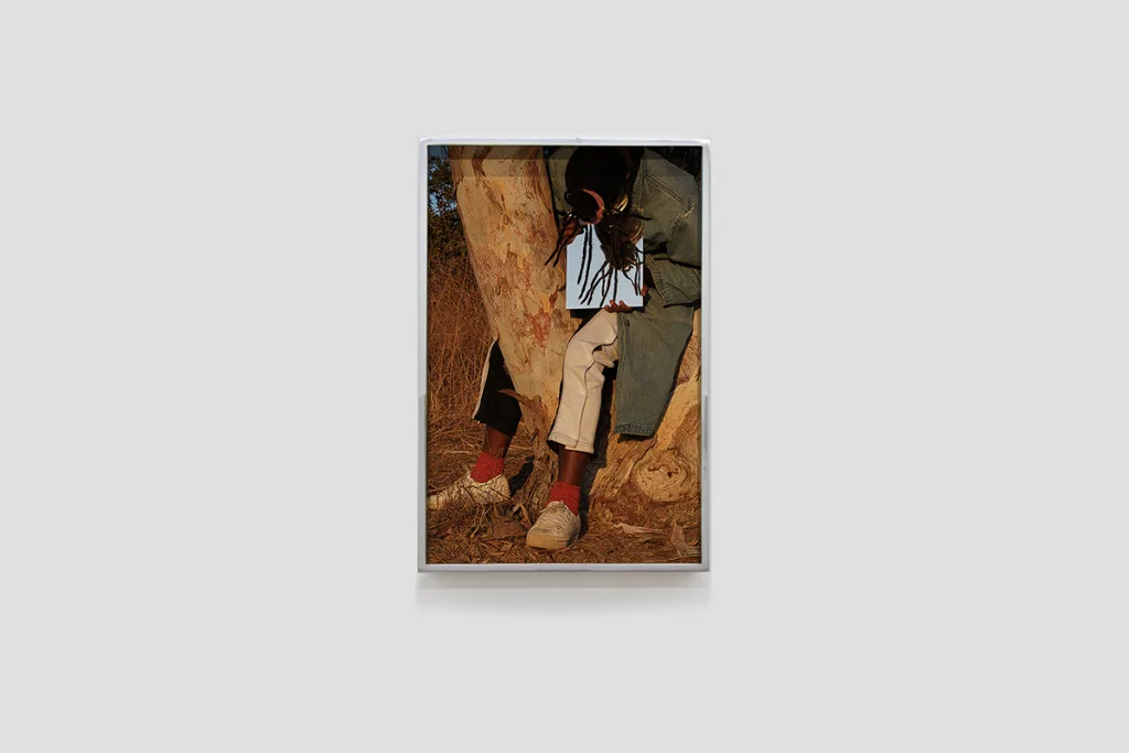 Installation image of Ohan Breiding's Playing Submarine show, of one portrait hanging on the wall. It shows a a dark-medium-skinned person sitting between the gap of a two-trunk tree
