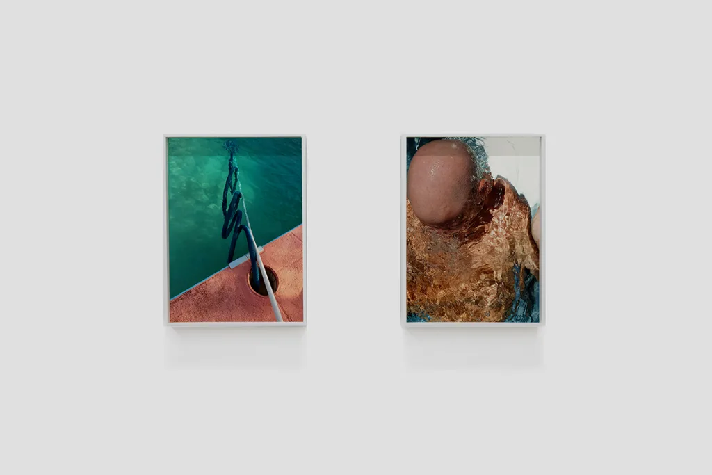 Installation image of Ohan Breiding's Playing Submarine show, of about two portraits hanging on the wall. The first one is a swimming pool vacuum with a blue hose and white handle. The side pool is painted as rusty brown. the second one shows a bald head person emerging from water and rest of the body is dipped