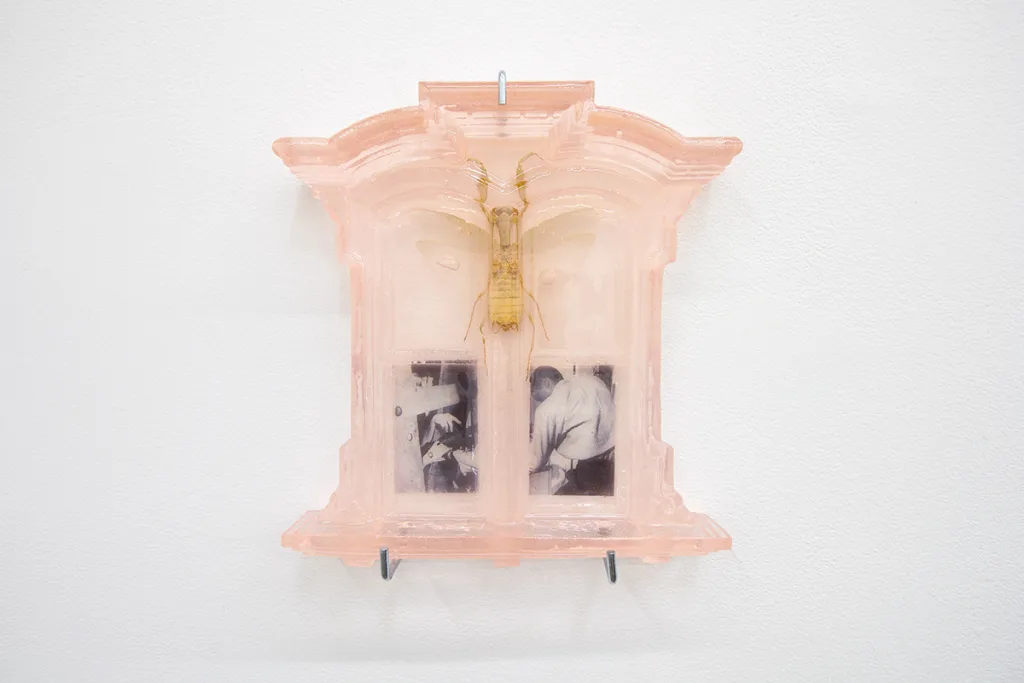 A pink window and a picture of a hardworking man that is attached to the glass of a window