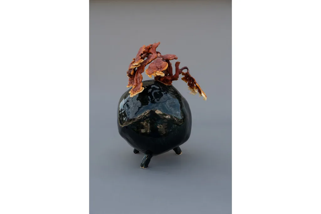 A sculpture by artist Sam Shoemaker of a stone shape with mushrooms growing off of it.