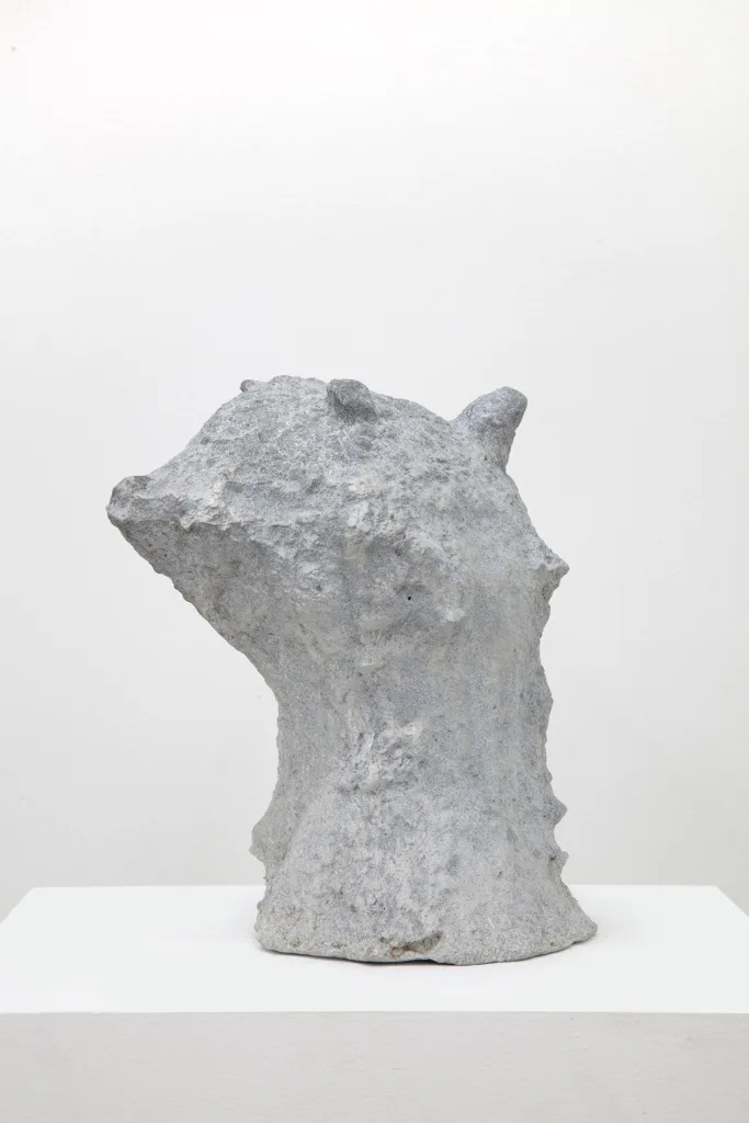 sculpture head with grooves and coarse textures