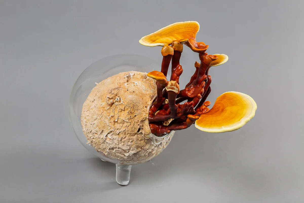 Image of a Sam Shoemaker piece featuring mushrooms sprouting out of a ceramic vessel