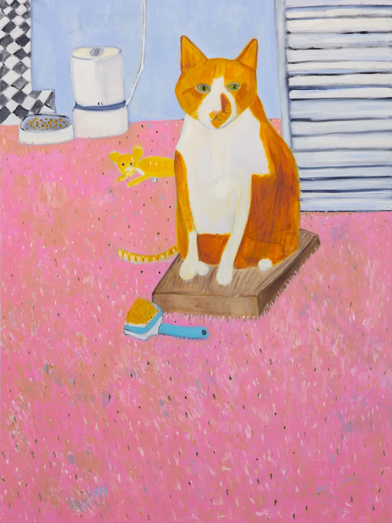 A portrait of an orange and white cat sitting in a room with pink carpet and blue walls. There is also a bowl of food, a toy, and a brush on the floor